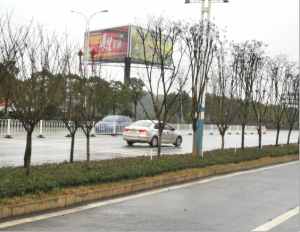 农副产品加工,粮食收购,油料的种植,湖南省多多28生物科技发展有限公司 农副产品加工,粮食收购,油料的种植,湖南省多多28生物科技发展有限公司